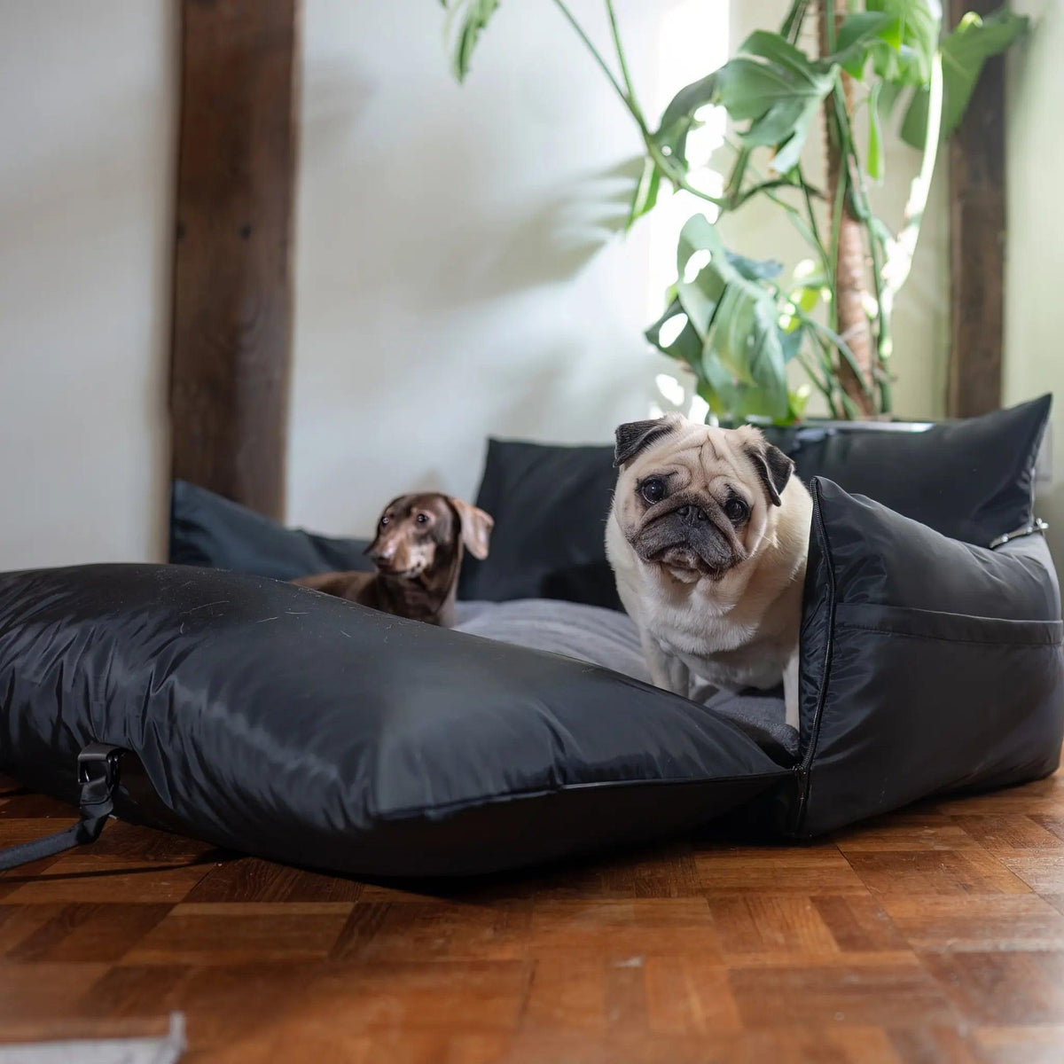 Travel Dog Pod XL