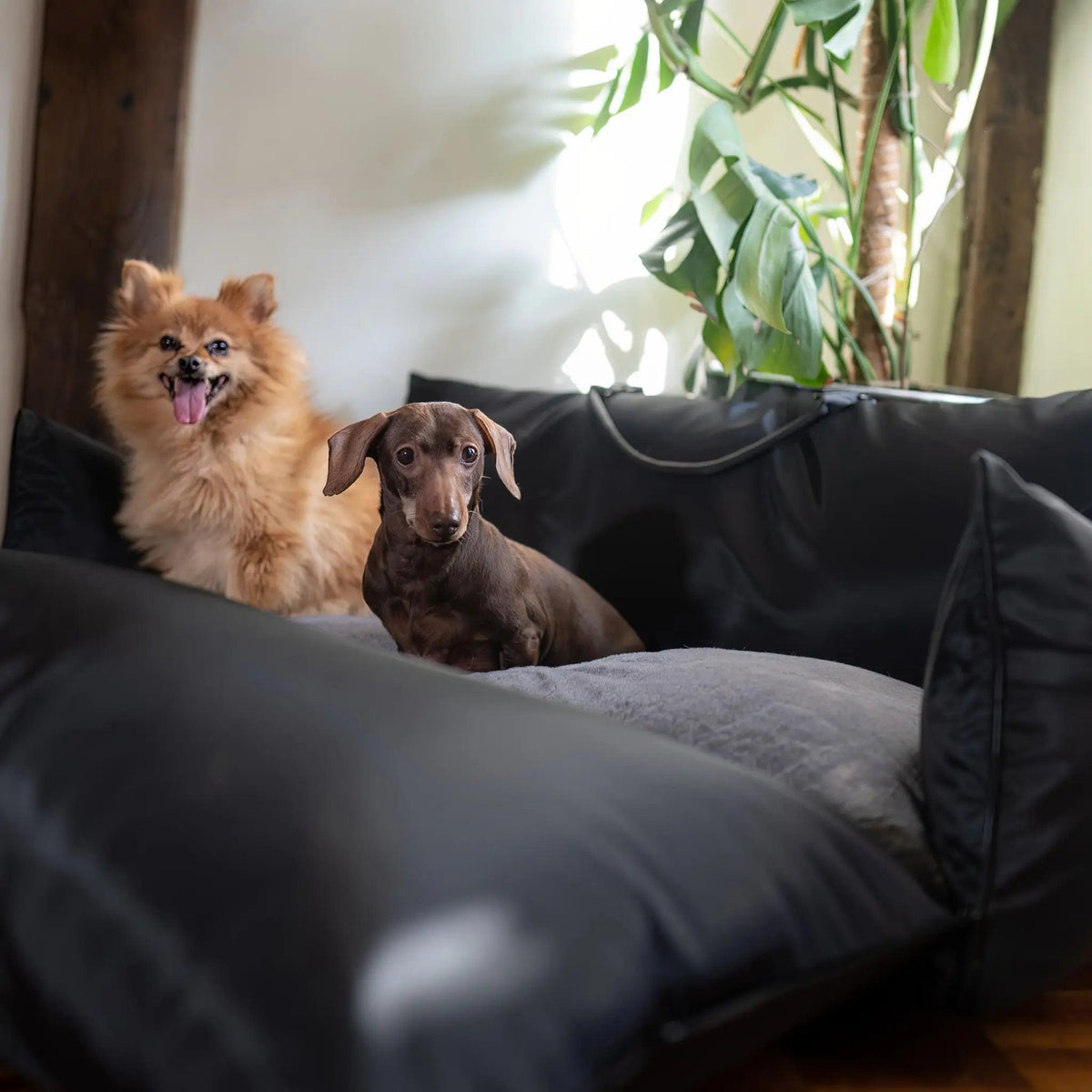Travel Dog Pod XL