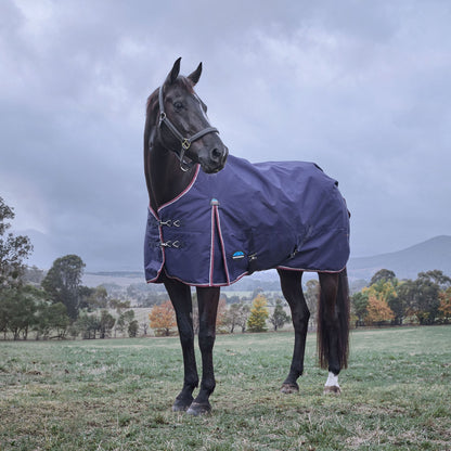 Weatherbeeta Comfitec Essential 220g Standard Turnout