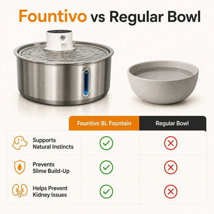Fountivo Fresh Water Kit 8L