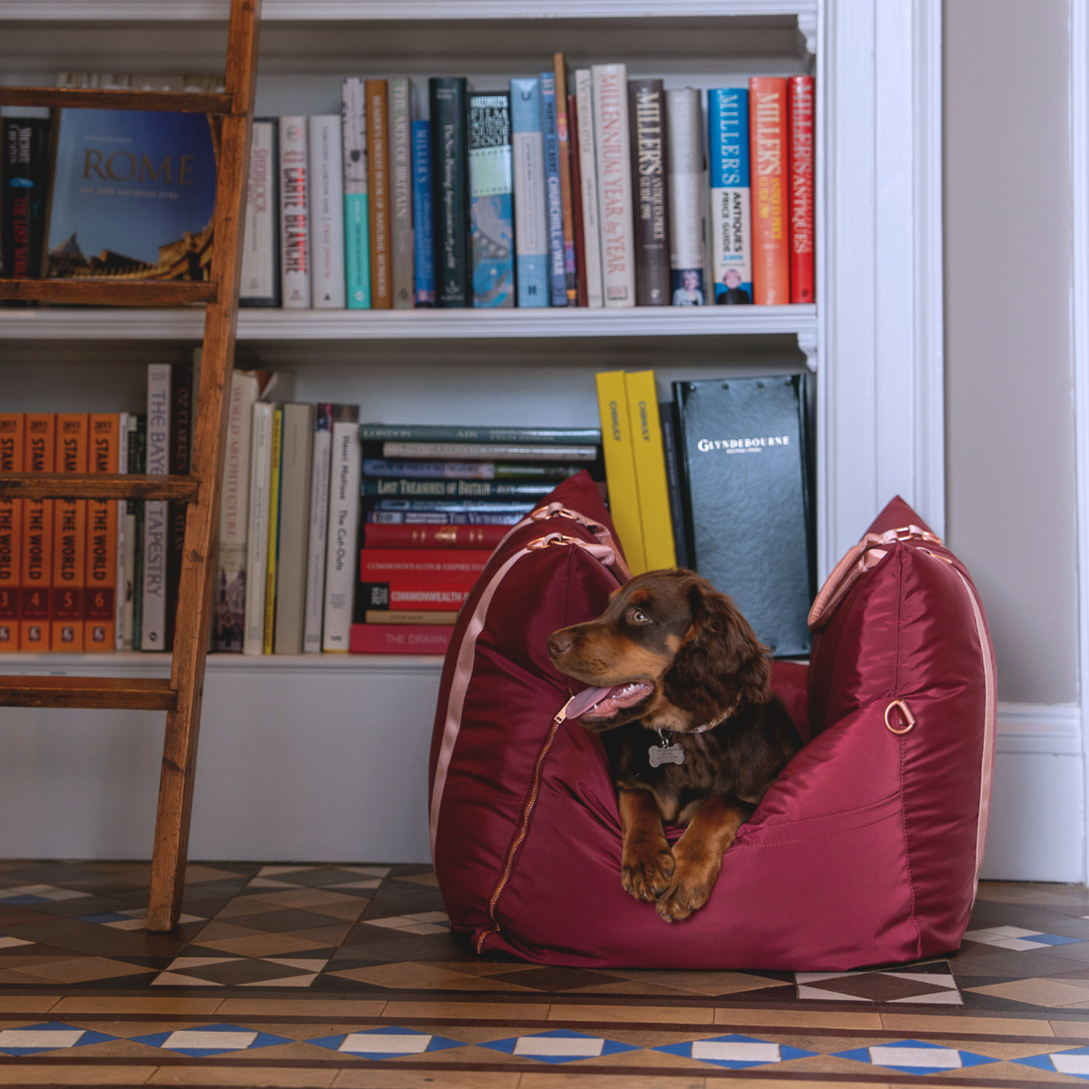 Travel Dog Pod - Rosewood