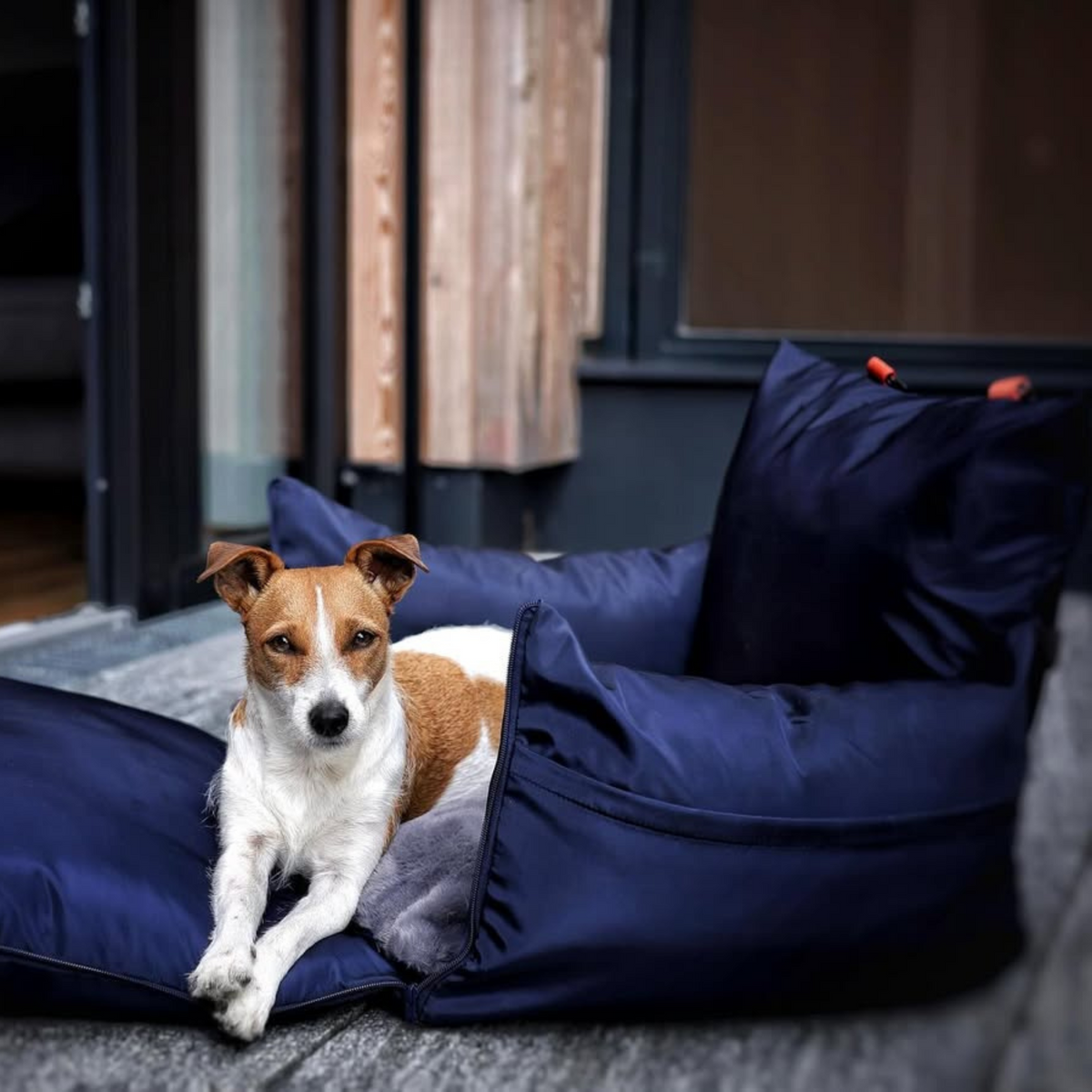 Travel Dog Pod