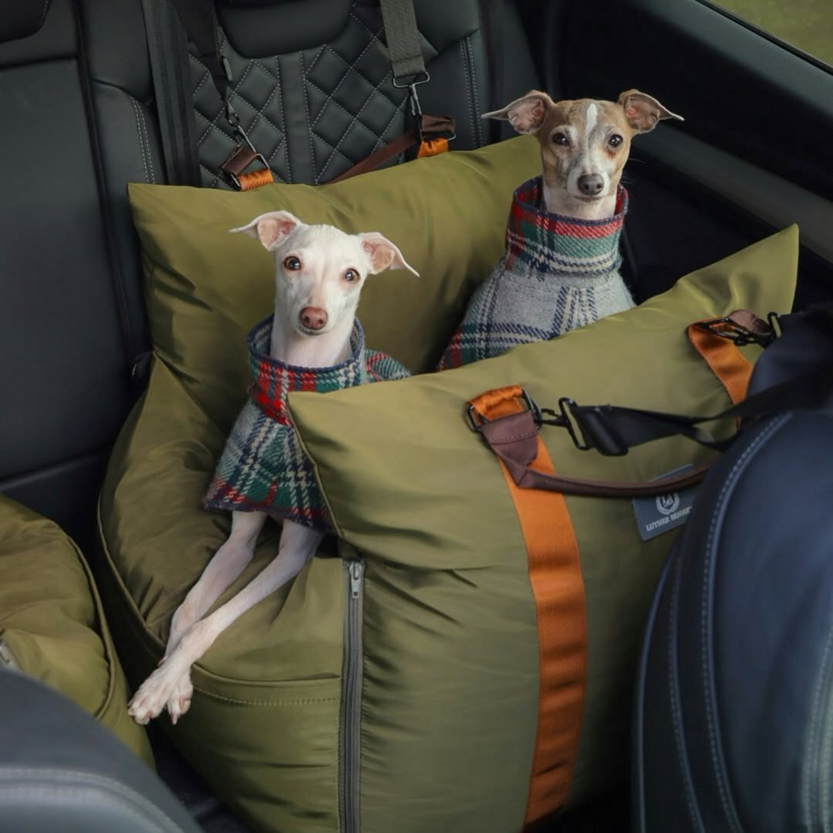 Travel Dog Pod