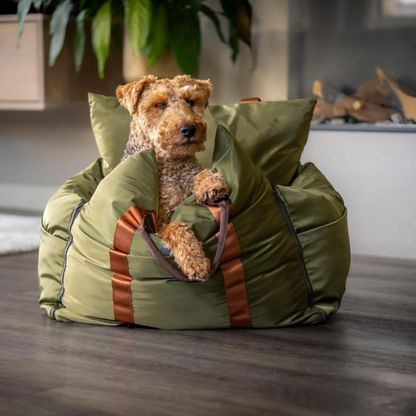 Travel Dog Pod