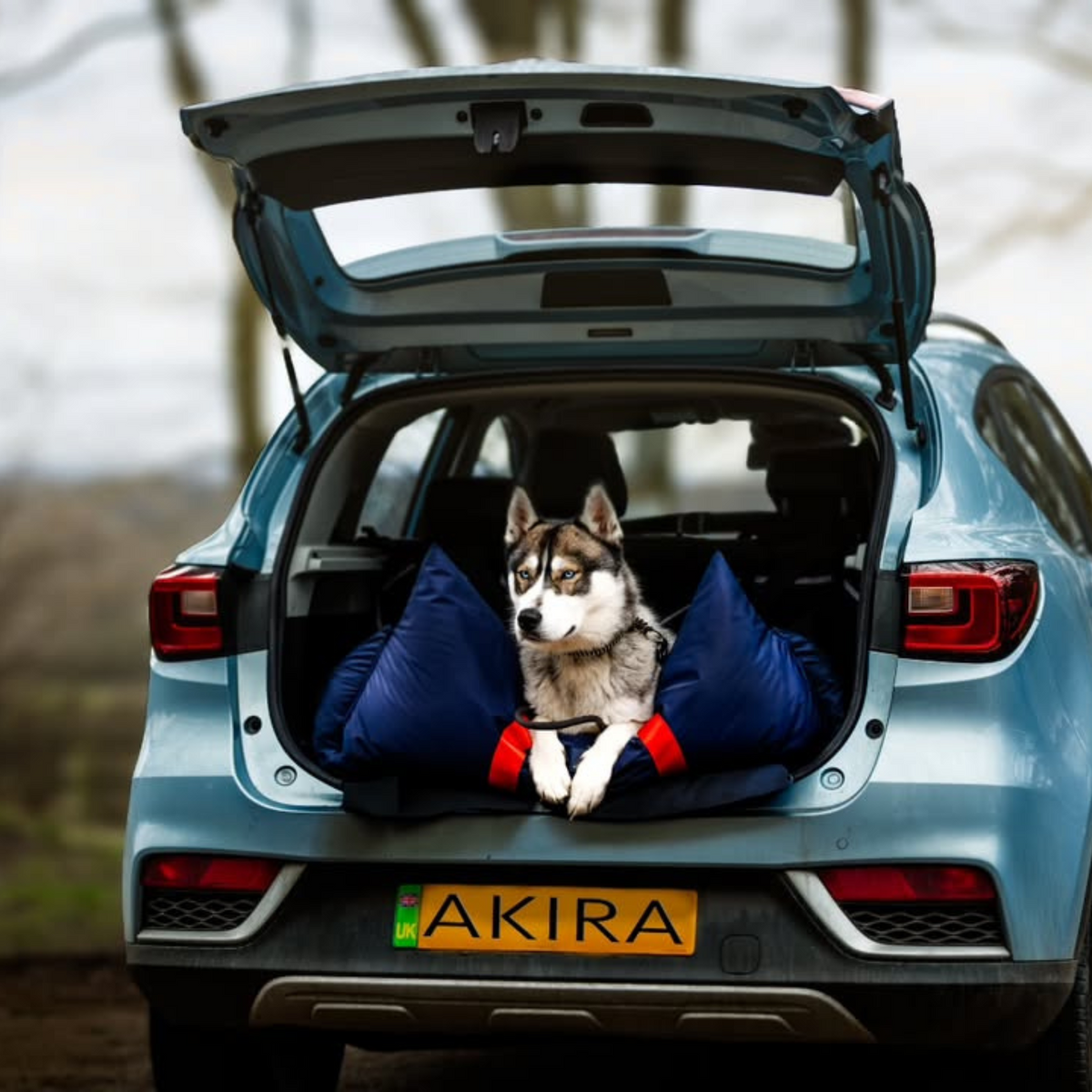 Travel Dog Pod XL