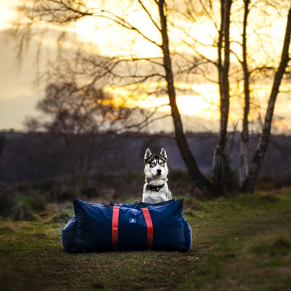 Travel Dog Pod XL