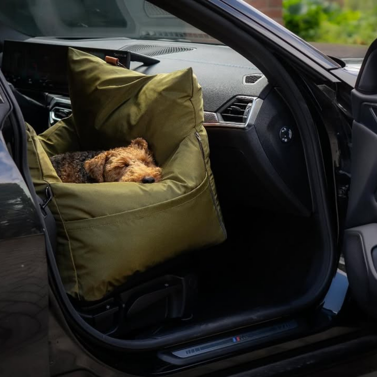 Travel Dog Pod