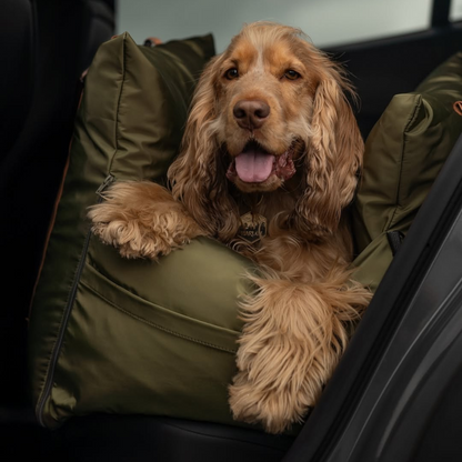 Travel Dog Pod