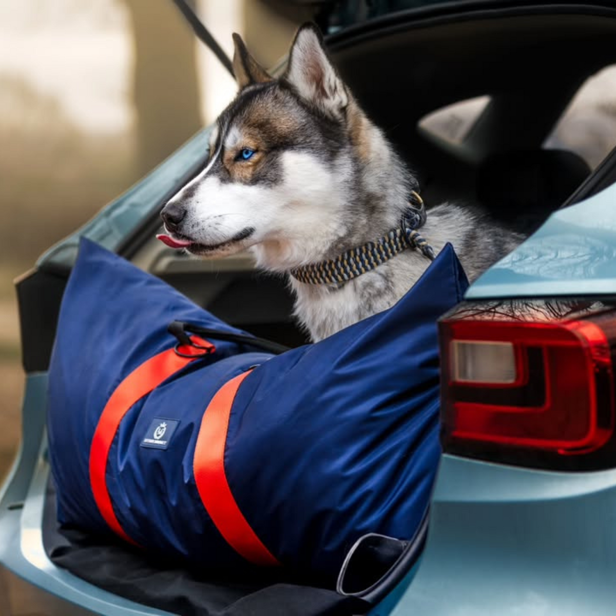 Travel Dog Pod XL