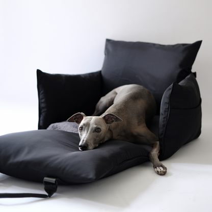 Travel Dog Pod