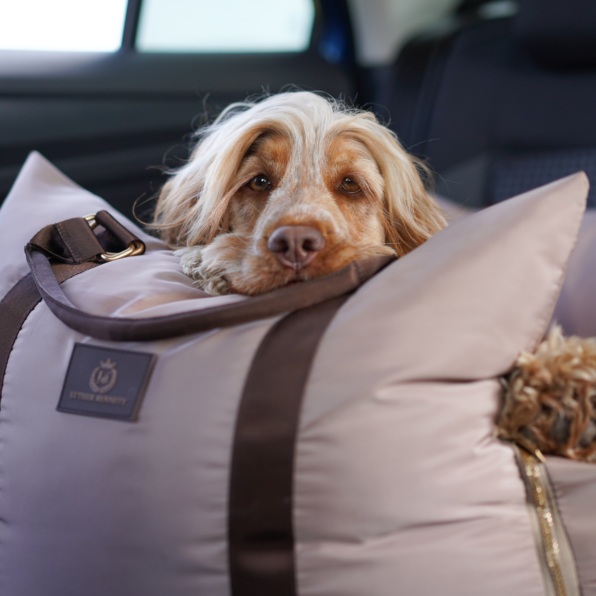 Travel Dog Pod - Hazelnut