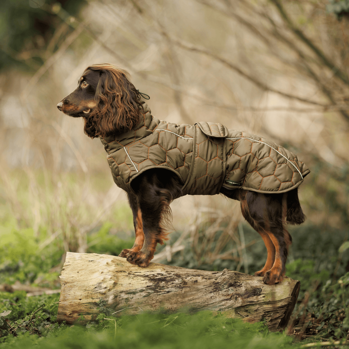 Honey Comb Dog Coat