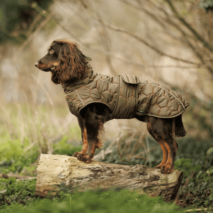 Honey Comb Dog Coat