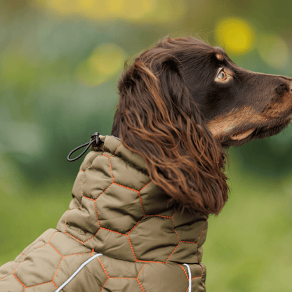 Honey Comb Dog Coat