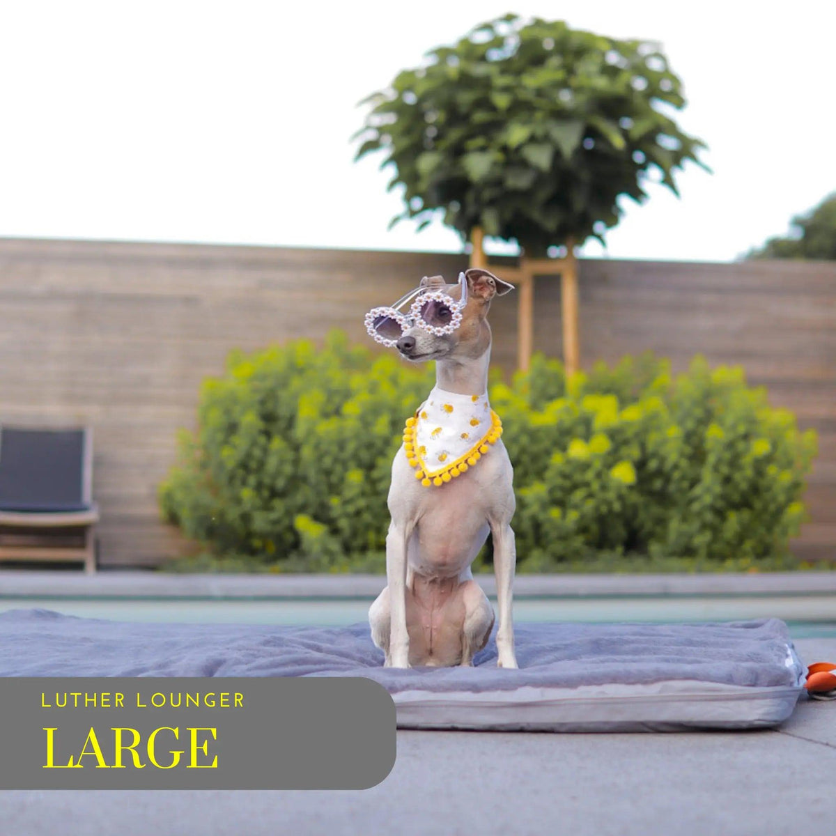 Luther Lounger