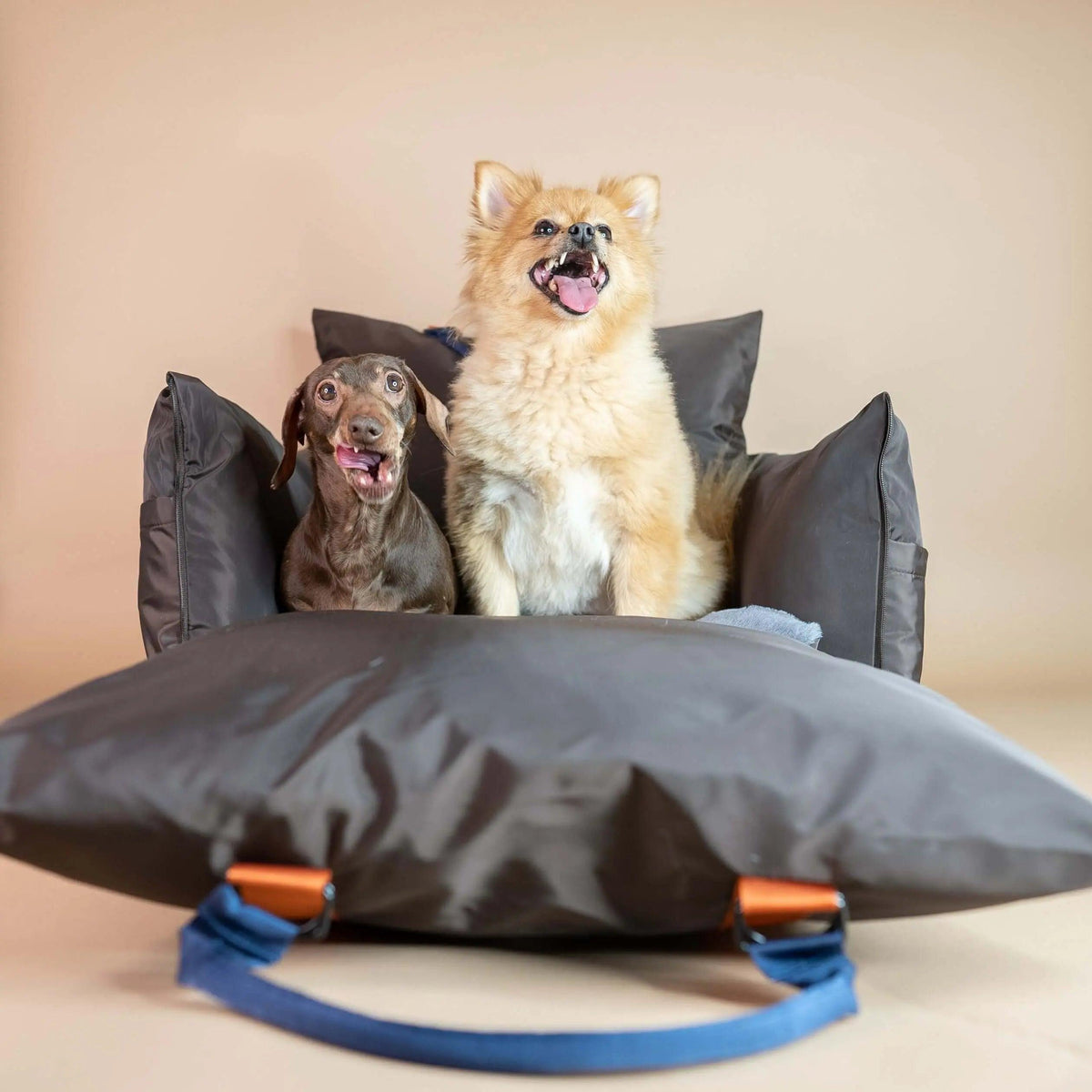 Travel Dog Pod