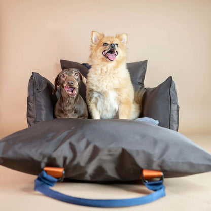 Travel Dog Pod